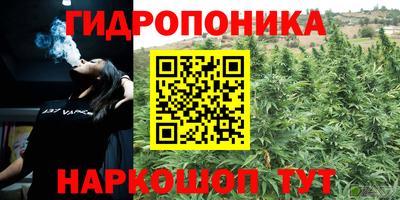 jwh Лениногорск