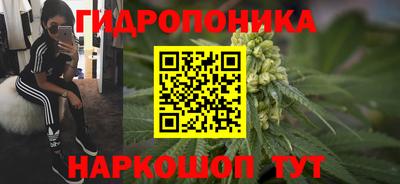jwh Лениногорск