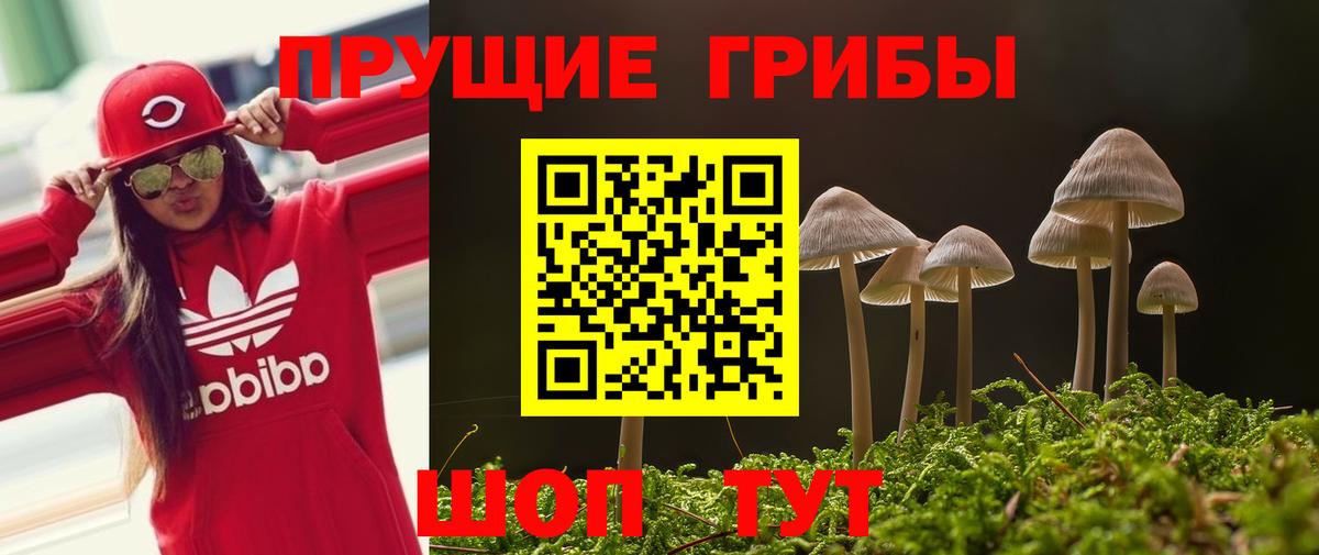 Ковров  Галлюциногенные грибы мицелий  Галлюциногенные грибы GOLDEN TEACHER  Вход с VPN 